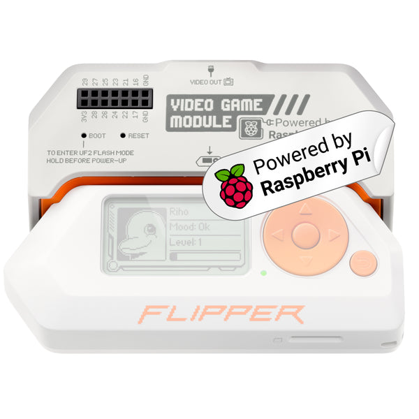 Flipper Zero Video Game Module — Lab401