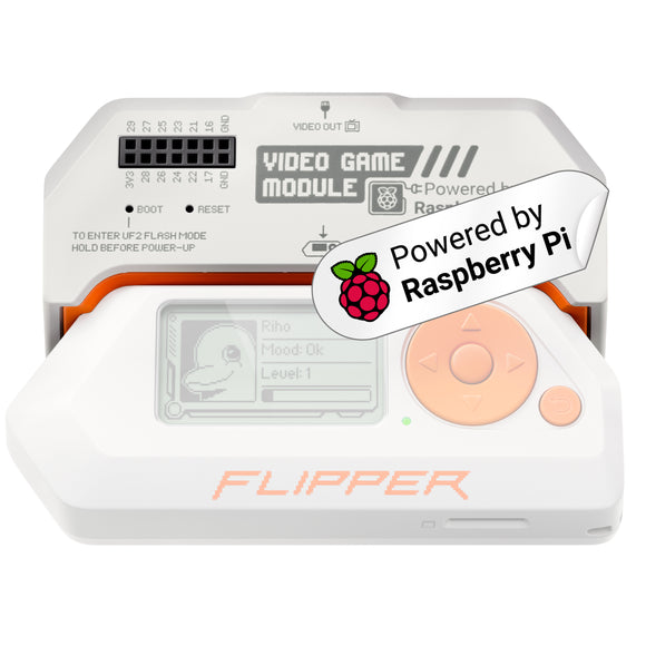Flipper Zero joins forces with Raspberry Pi for new Video Game Module -  Dexerto
